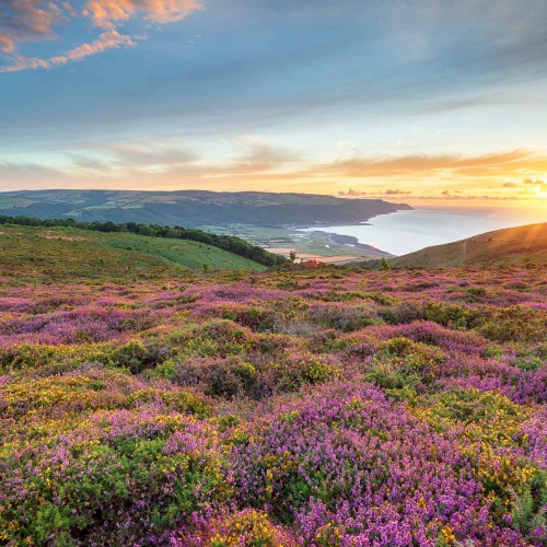 Speyside-Heather-Centre